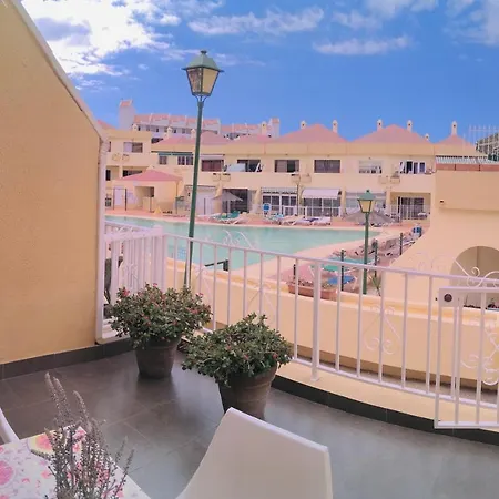 Lovely Apartment, Great Location! Apartment *